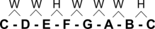 Scale of C